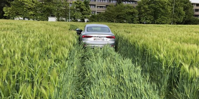 Personenwagen landet bei Flucht vor der Polizei in einer Wiese