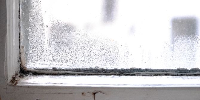 Feuchtigkeit Schimmel Wohnungen Fenster
