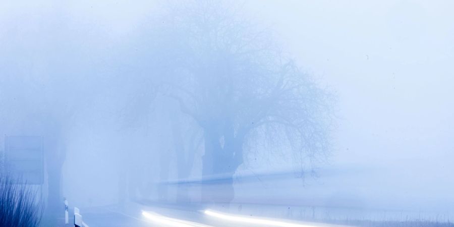 Wählen Autofahrer die falsche Beleuchtung bei Nebel, kann sich die Strasse in eine weisse Wand verwandeln.