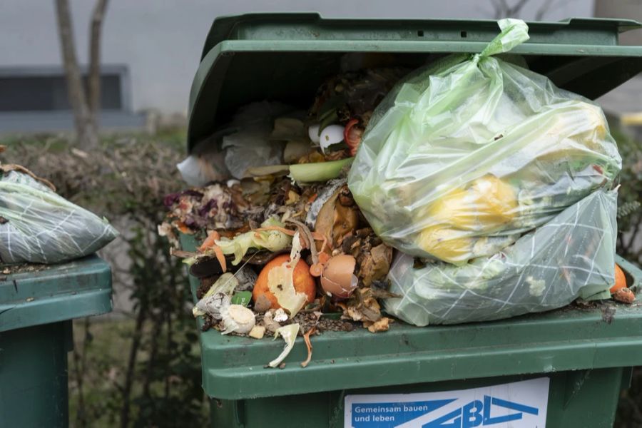 der Bioabfall in der Stadt Zürich stinkt – doch für einen guten Zweck.