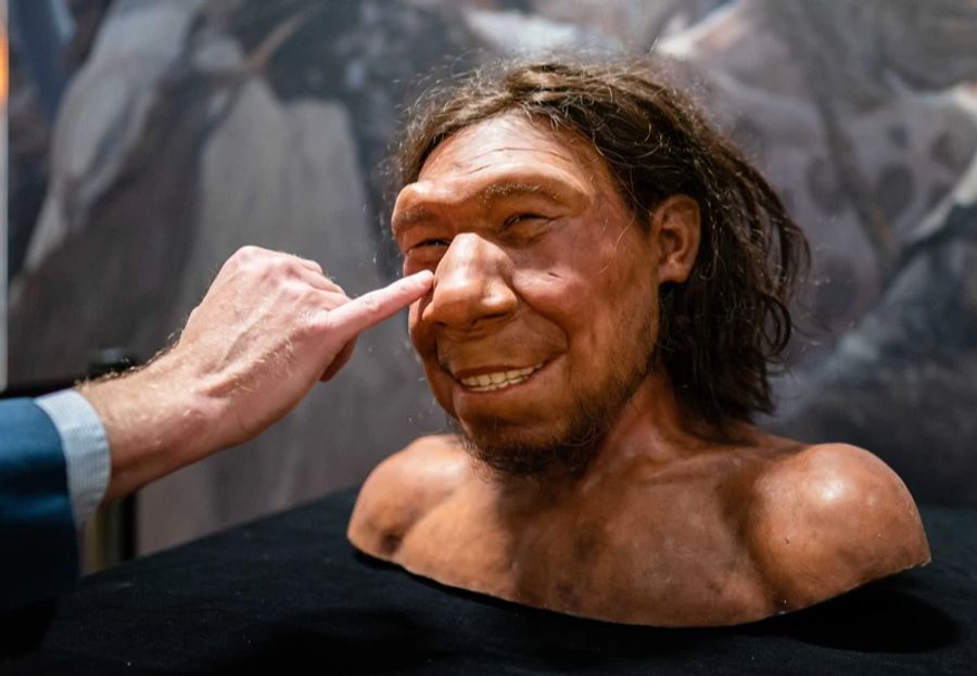 Laut einem niederländischen Museum hat ein Neandertaler-Mann so ausgesehen.