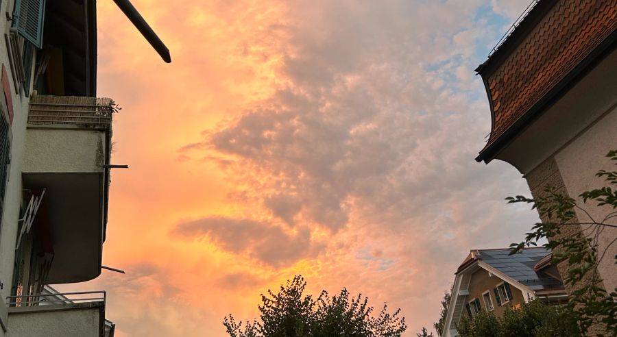 Der Name stamme vom lateinischen Wort «mammatus» (brunstartig), so Köbele. (Hier in der Stadt Bern)
