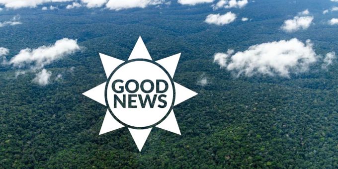Good News - EU will Schutz des Amazonas-Regenwalds vorantreiben