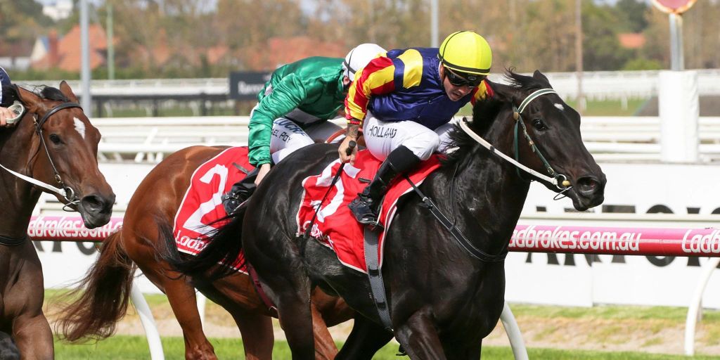 Australischer Jockey im Finish tödlich gestürzt