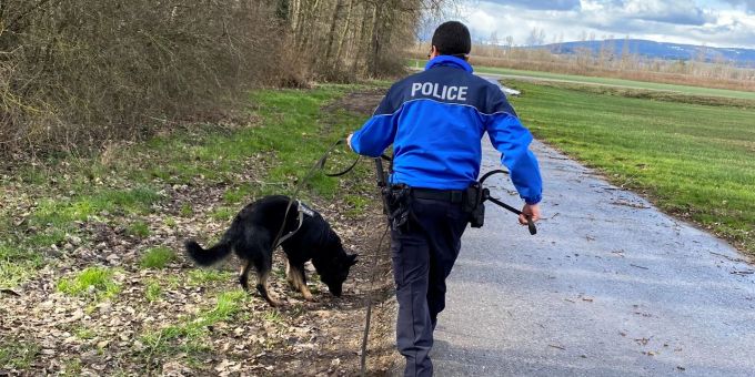 Schmitten FR: Polizeihund führt zur Anhaltung von zwei Einbrechern. Schmitten FR