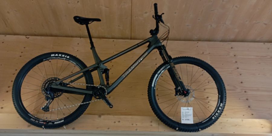 herkömmliches Fahrrad, E-Bike