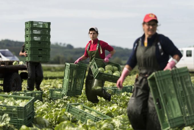 Wetter Landwirtschaft Gemüse