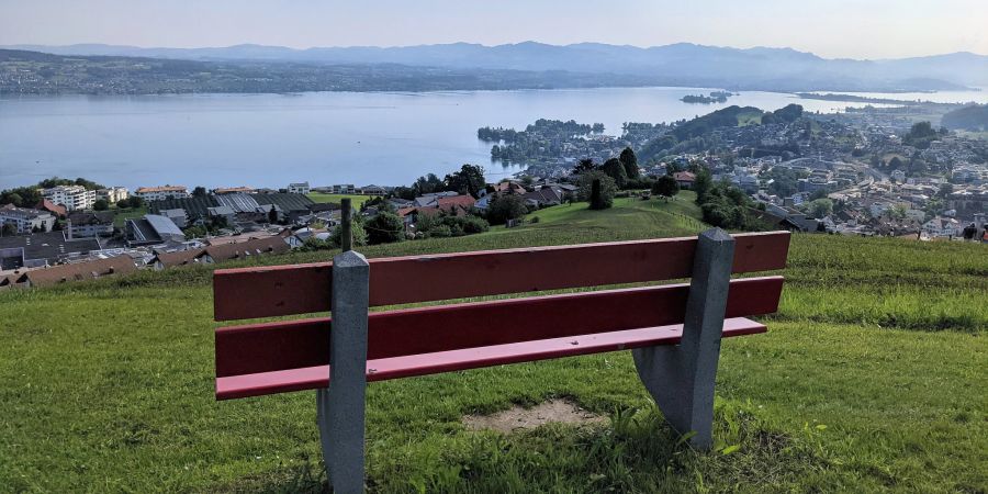 Der Beckihoger in Wollerau SZ mit Blick auf den See.