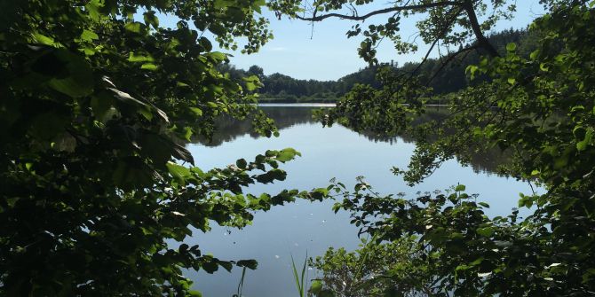 Biessenhofer Weiher