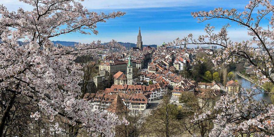 Blick vom Rosengarten auf die Altstadt. - Stadt Bern