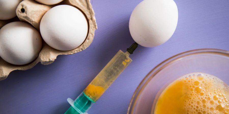 Das spart Puste: Dotter und Eiweiss lassen sich mit einer Einwegspritze aus den Eiern ziehen.