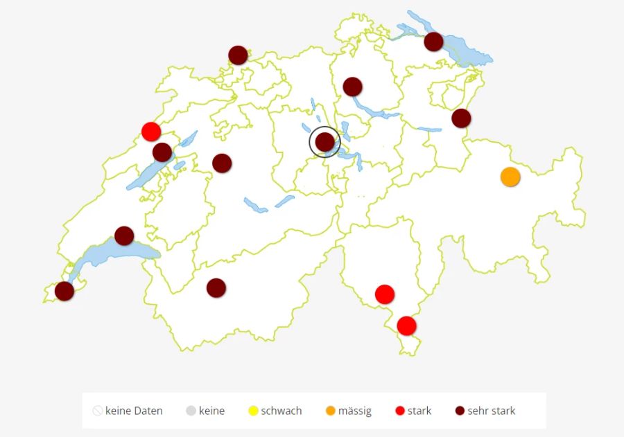 Die Pollenkonzentration ist momentan in der ganzen Schweiz sehr hoch.