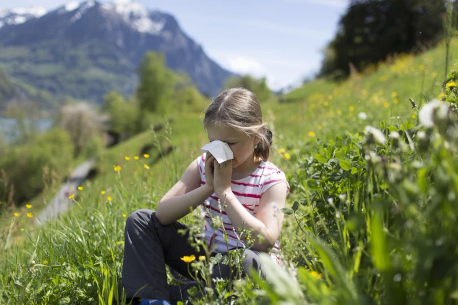 Auf diese Pollen reagieren in der Schweiz rund 1,2 Millionen Menschen. (Symbolbild)