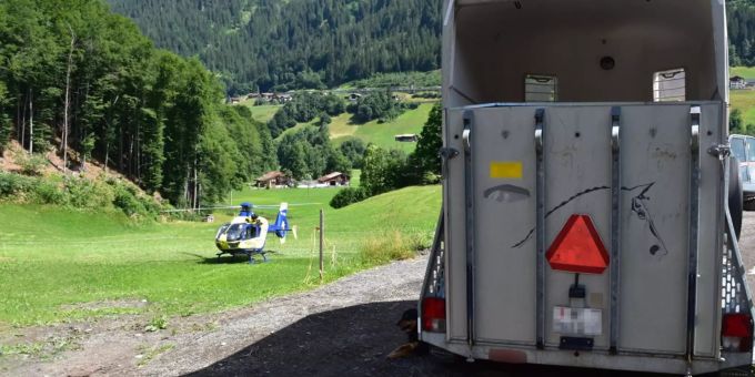 Beim Entladen einer Kuh ist eine Frau unter der Ladeklappe eines Tiertransportanhängers eingeklemmt worden.