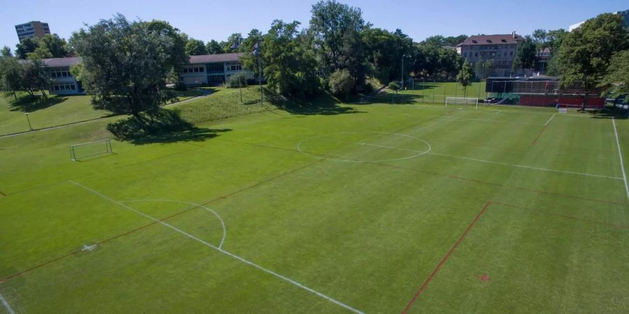 Sportplatz Steigerhubel, Sportamt Bern