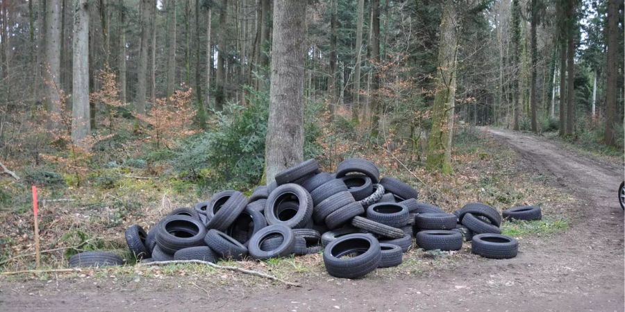 In diesem Wald bei Tscheppach SO liegen Altreifen.