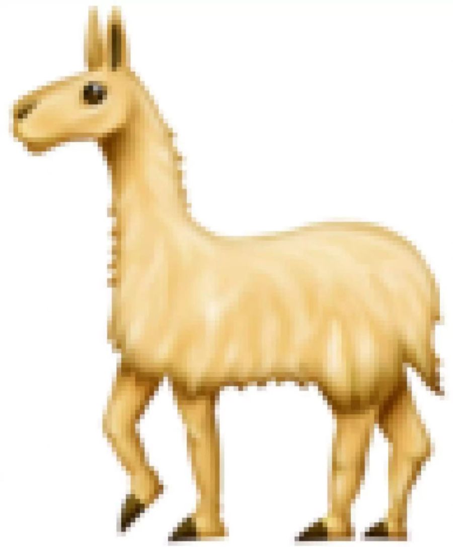 Lama