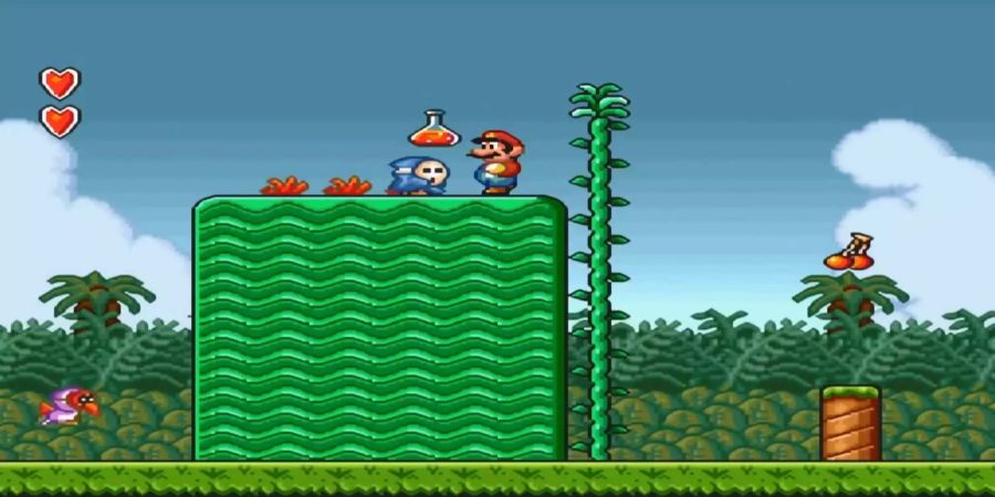 Super Mario Bros 2 auf dem Nintendo Entertainment System (NES) gleicht überhaupt nicht den anderen Spielen der Serie. Ursprünglich sollte der offizielle Nachfolger aus Japan, Super Mario Lost Levels, auch in Europa erscheinen. Nintendo glaubte jedoch, dass das Spiel für den europäischen Markt zu schwierig sei. Dem ausserjapanischen Markt lieferte Nintendo dafür ein ganz spezielles Mario zu Weihnachten: eine überarbeitete Version des Spiels Yume Kōjō: Doki Doki Panic. Die Musik, Figuren und die Geschichte wurden angepasst, der Stil unterscheidet sich aber stark vom Vorgänger. Ein Erfolg: Das Game verkaufte sich mehr als sieben Millionen Mal. Wegen dem unerwarteten Erfolg erschien in Japan das Spiel unter dem Namen: Super Mario USA.