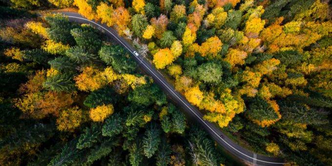 Der Fonds Landschaft Schweiz unterstützt Projekte zur Erhaltung und Erneuerung der Landschaft und Natur. (Symbolbild) Eine Strasse