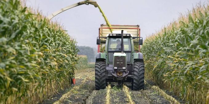 Bauer im Traktor beim Maisernten - Keystone Bauer im Traktor beim Maisernten - Keystone