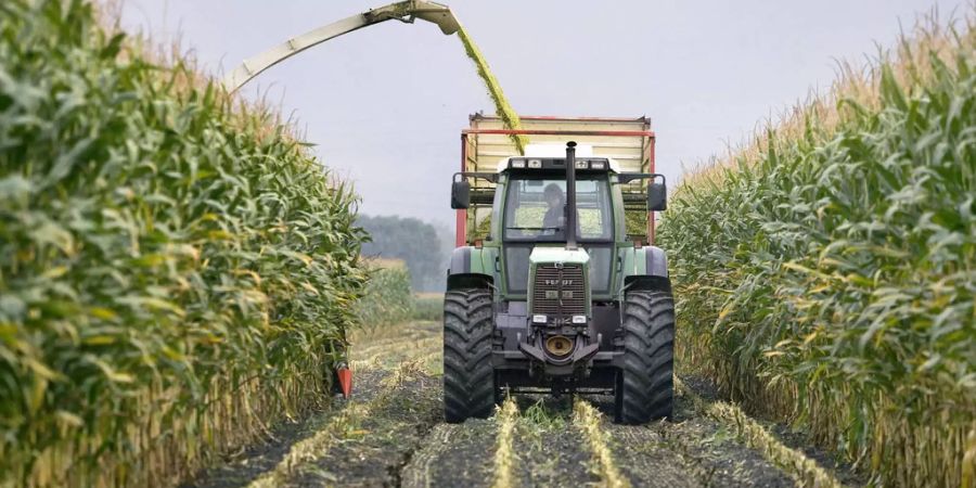 Bauer im Traktor beim Maisernten - Keystone