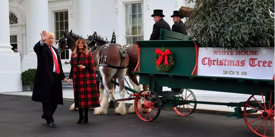 Donald Trump (l), Präsident der USA, und seine Frau Melania Trump (2.v.l) haben den diesjährigen Weihnachtsbaum für das Weisse Haus in Empfang genommen. Die 5,90 Meter hohe Fraser-Tanne wurde traditionsgemäss mit Pferd und Kutsche an den Nord-Eingang des Weissen Hauses in Washington geliefert.