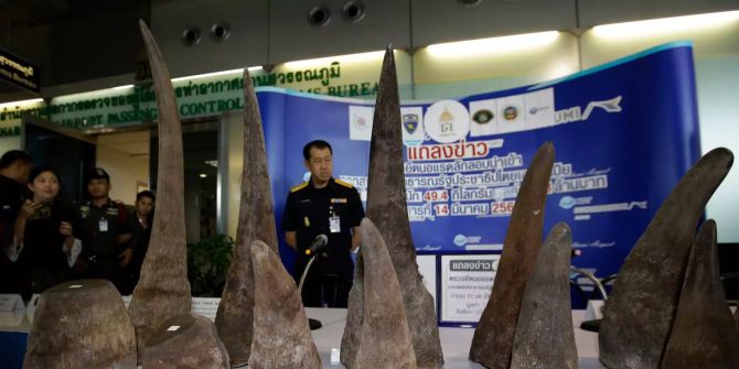 Thailändische Zollbeamte stehen hinter beschlagnahmten Nashornhörnern im Zollamt am Flughafen.