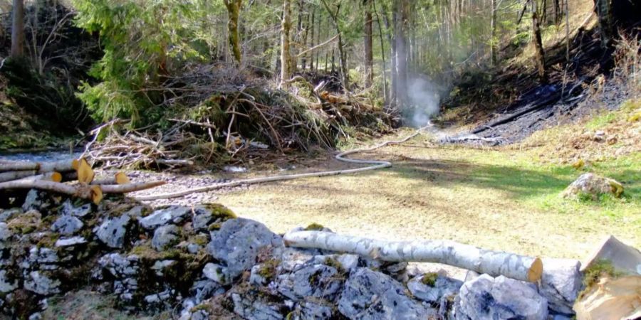 Er wollte nach der Holzernte übriggebliebene Baumreste verbrennen.