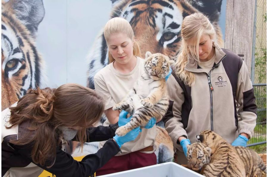 Die Tierpflegerinnen mit den Babys.