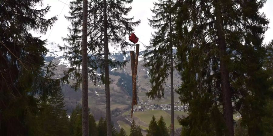 Bei einem Arbeitsunfall starb ein 26-jähriger Forstwart.