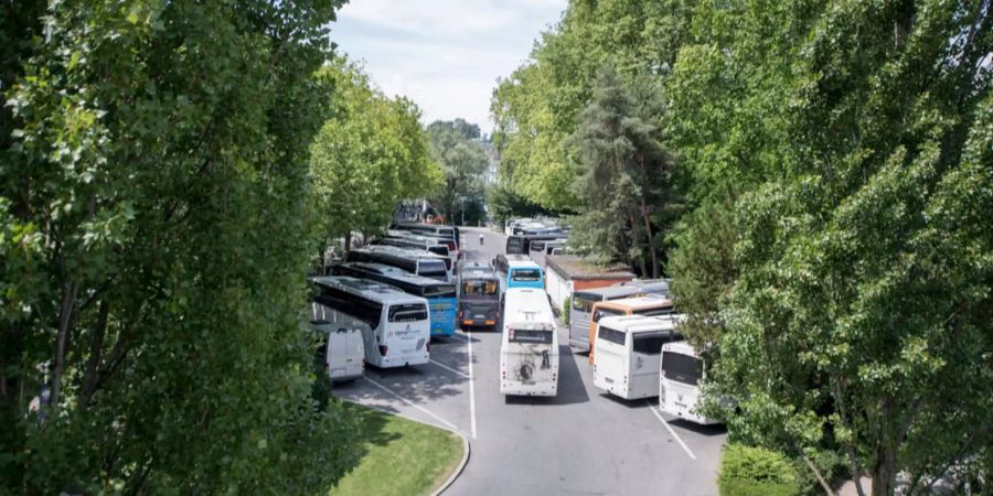 Viele Reisecars machen in Luzern, wie hier beim Carparkplatz beim Inseli-Park.