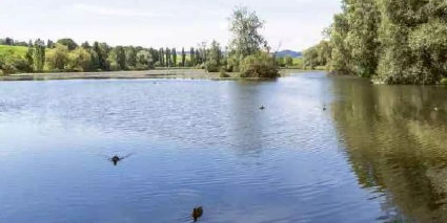 Der Bettenauer Weiher.