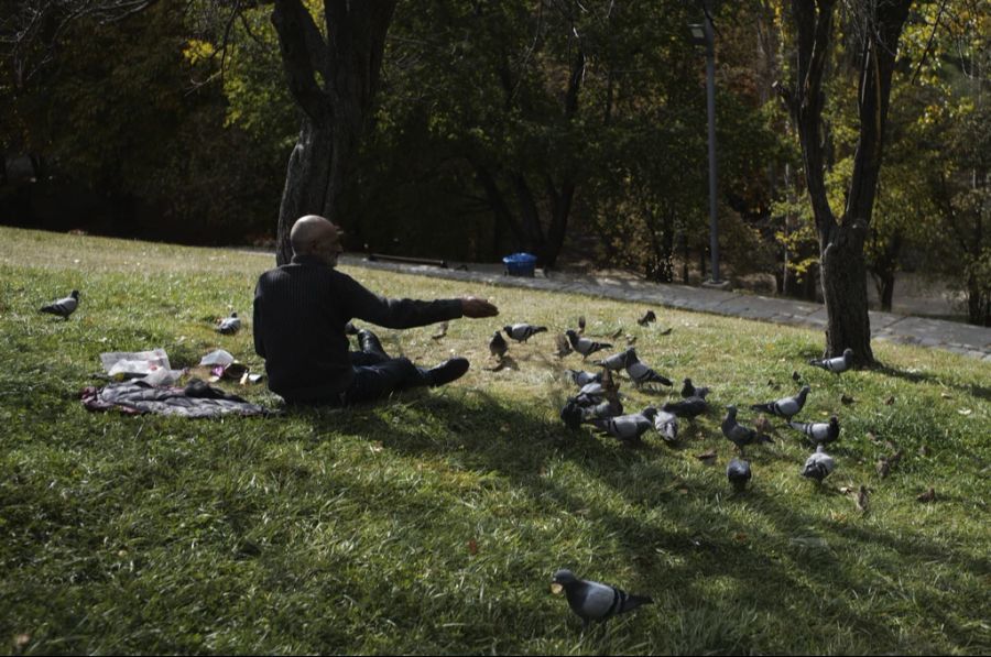 Jean-Daniel Ruch war Botschafter in Ankara, in der Türkei. Im Bild: Ein Mann füttert Tauben in einem Park in Ankara.