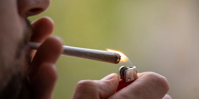 Cannabis
