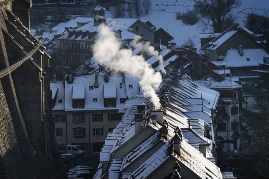 SDS Economiesuisse Klimapolitik