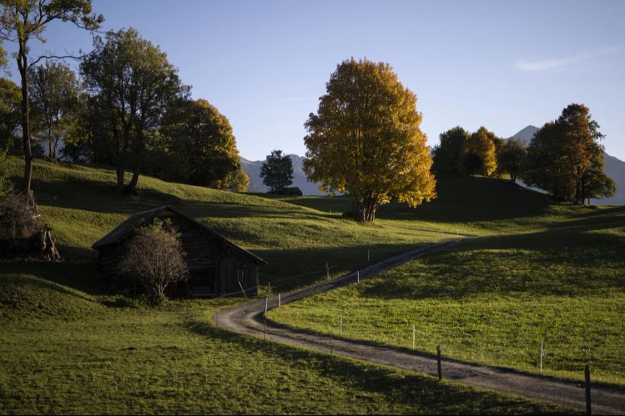 Der Herbst hat gerade erst begonnen – jetzt starten die Geschäfte schon ihre Weihnachtsverkäufe.