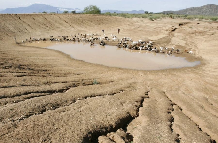 Bei Wasserlöchern im Kruger-Nationalpark in Südafrika wurden von den Forschenden verschiedene menschliche und tierische Geräusche abgespielt. (Symbolbild)