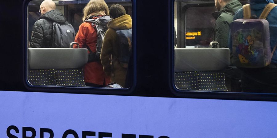 Aufgrund der Streckensperrung kam es im Fernverkehr zu Verspätungen von 15 Minuten. (Archivbild)