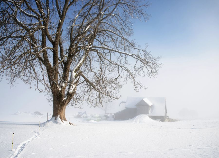 Wirtschaftsminister Guy Parmelin erfreut die Weihnachtskarten-Adressaten mit einem Winterbild aus der Schweiz.