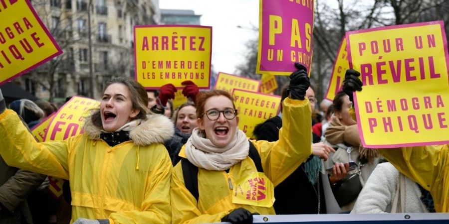 Demonstranten in Paris