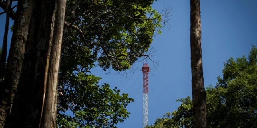 Das 35 Meter hohe Amazon Tall Tower Observatory