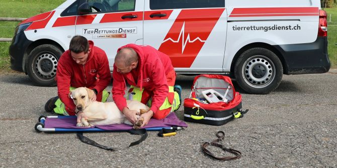 Tierrettung im Einsatz