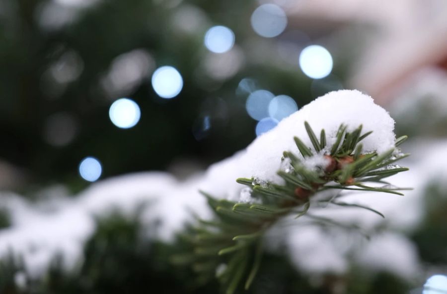 Weisse Weihnachten gab es hierzulande schon länger nicht mehr. (Symbolbild)