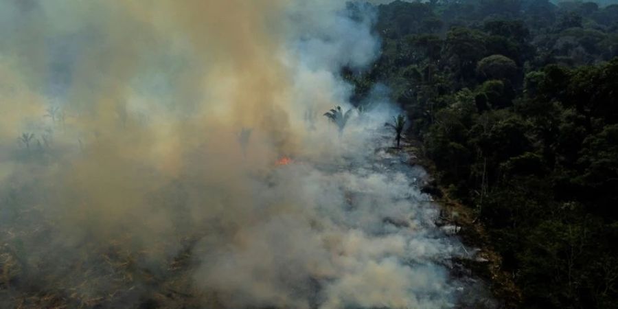 Waldbrand im Amazonas-Gebiet