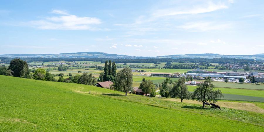 Aussicht über die Gemeinde Büttikon im Bezirk Bremgarten. - Kanton Aargau