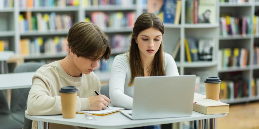 Zwei Schüler beim Lernen