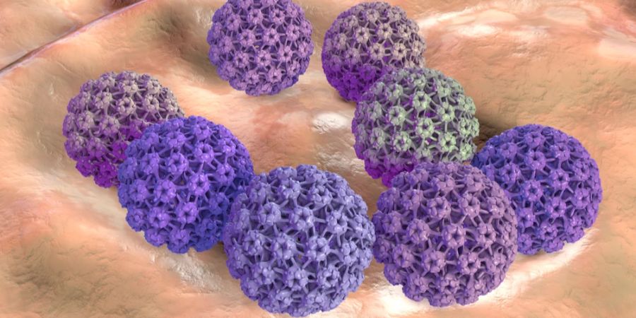 Humane Papillomviren, auch HPV genannt, werden durch direkten Schleimhautkontakt übertragen, etwa bei sexuellen Kontakten oder in seltenen Fällen auch während der Geburt von der Mutter auf das Kind.