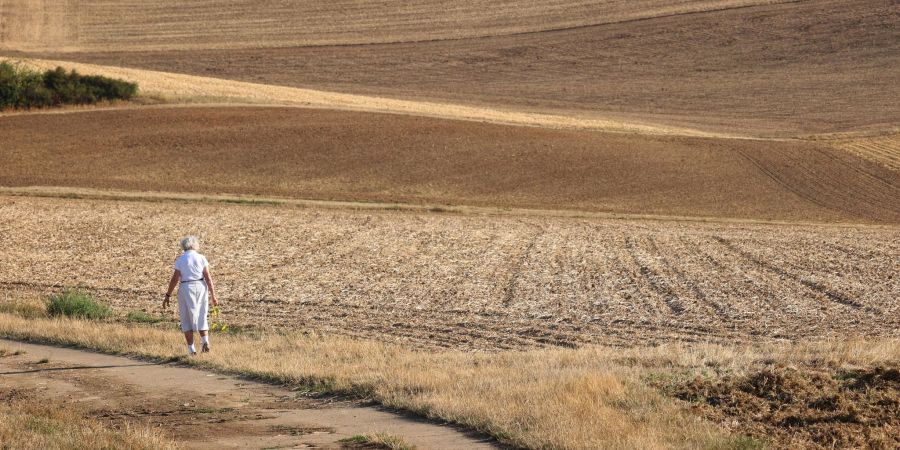 Wissenschaftler warnen eindringlich vor den unumkehrbaren Folgen einer weiteren globalen Erwärmung.