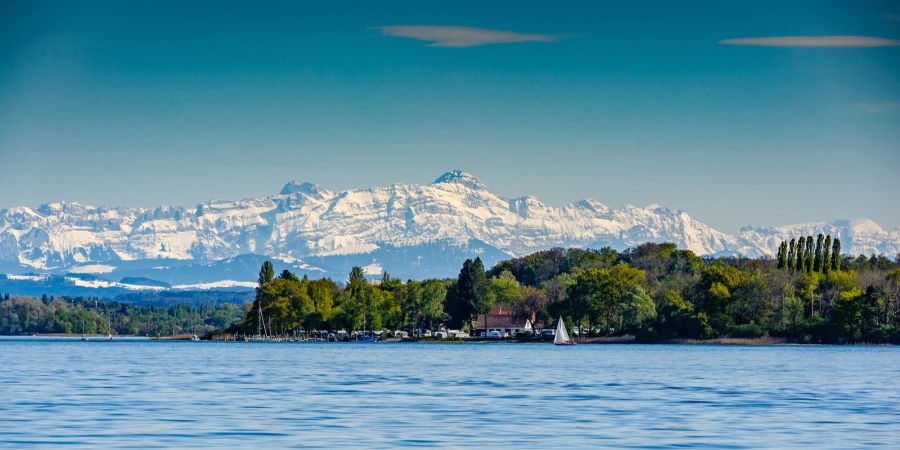 Wasser Berge Bodensee Ufer