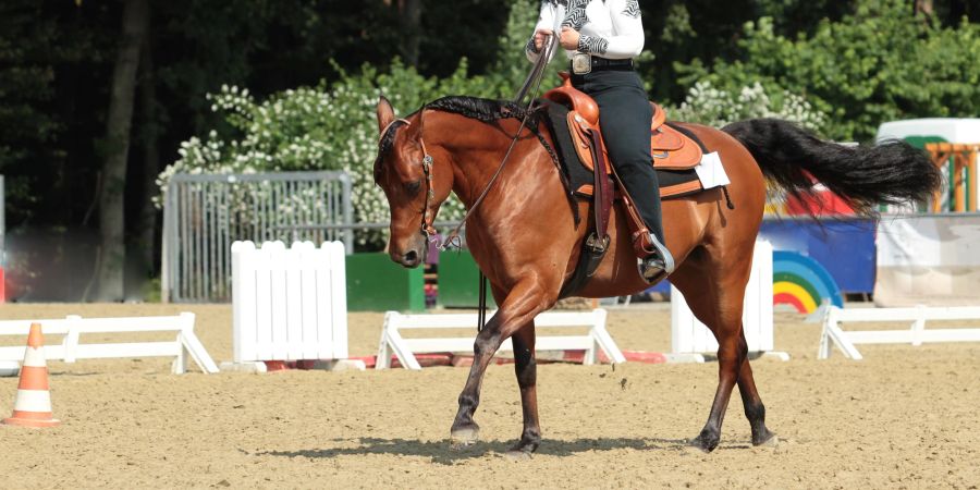 Ein feines Zusammenspiel aus Zügel- und Schenkelhilfen macht gutes Reiten aus.